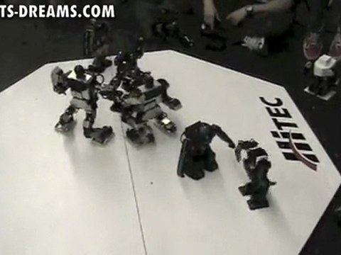 RoboGames 2011 - Humanoid Robot Rumble