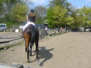 Concours de dressage 11Avril2011 (E5) . Aurore & Cheyenne.