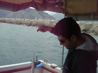 S.A.T. baracuda avında