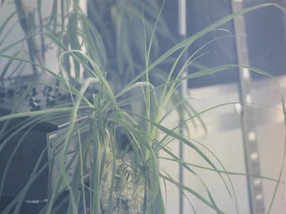 EROL ALKAN X JDLM 21 mai 2011 au Bar MC2