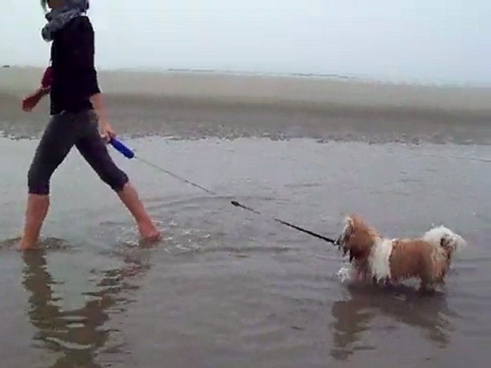 Quend Plage, Avril 2011. ♥