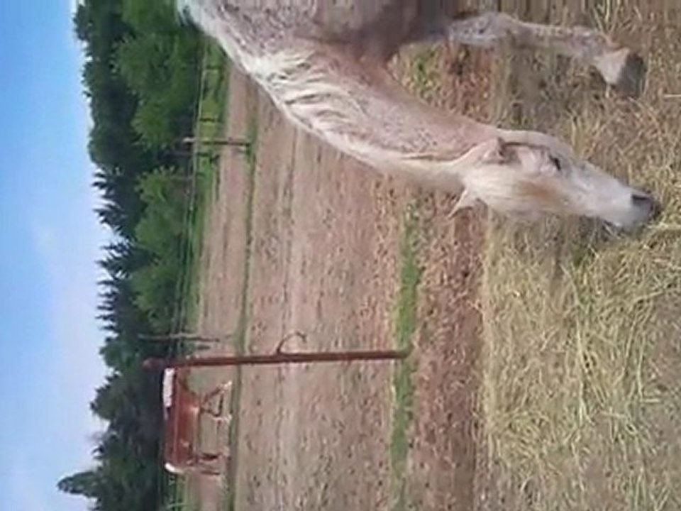 Sony, débourrage 1er essai