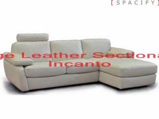 Modern Leather Sofas
