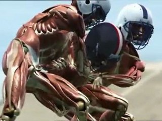 Mon corps ce héros : Les muscles - 02/03