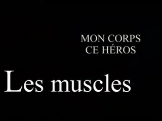 Mon corps ce héros : Les muscles - 01/03