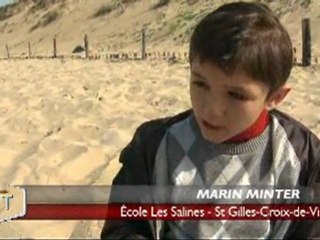 Au respect des dunes (Saint-Gilles-Croix-de-Vie)