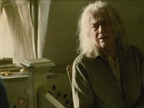 Harry Potter Ve Ölüm Yadigarları Part 2