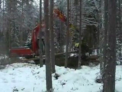 Orman işçilerinin Korkulu Rüyası (AFM Harvesters)