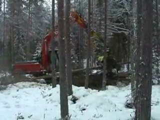 Orman işçilerinin Korkulu Rüyası (AFM Harvesters)