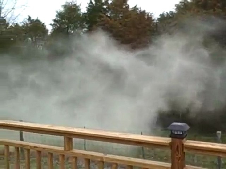 Nuage de pollen sur un arbre - Impressionnant