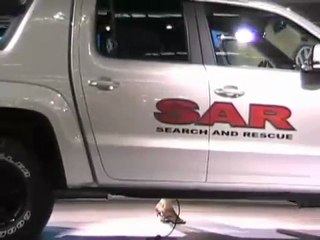 VW Pick-Up Concept - QR no Salão 2008