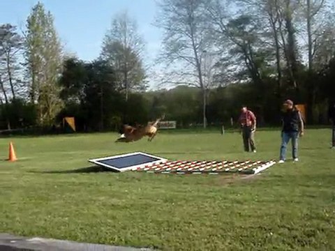 ring selectif mouroux 2011 065