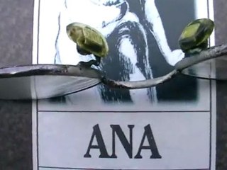 küçük bir gündüz müziği