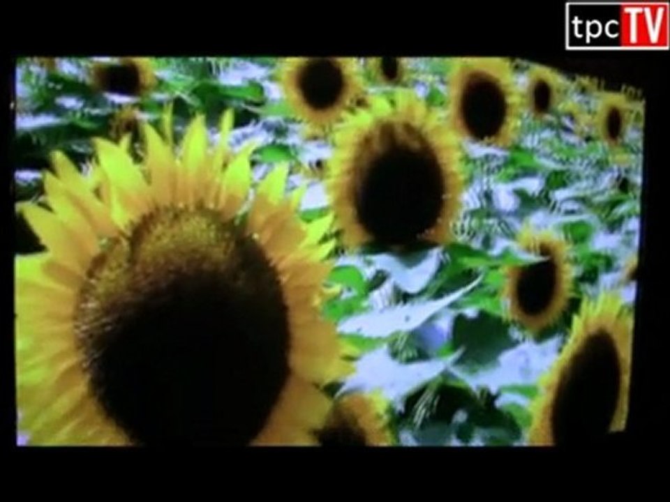 Le novità Panasonic 3D TV video e fotocamere per Natale 2010