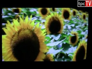 Le novità Panasonic 3D TV video e fotocamere per Natale 2010