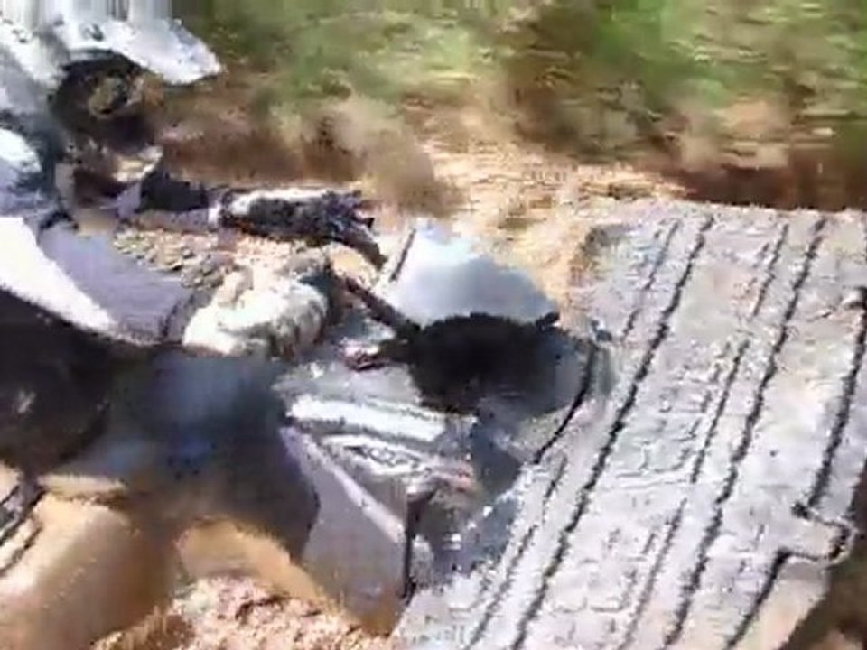 vidéo quad