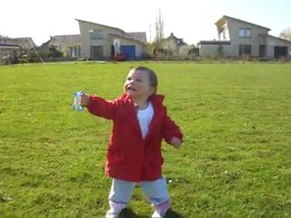 Aloïs cerf-volant