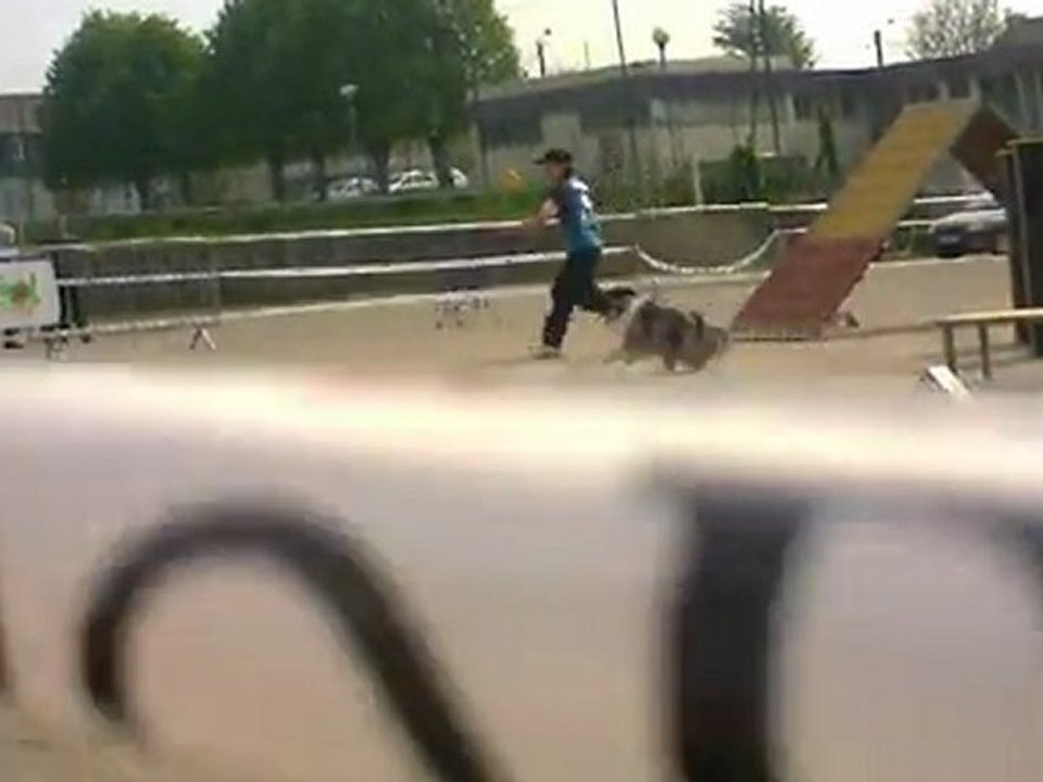 laurence crunch concours agility  le relecq kerhuon 2011