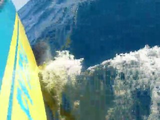 Dauphins dans la passe de Tiputa Rangiroa