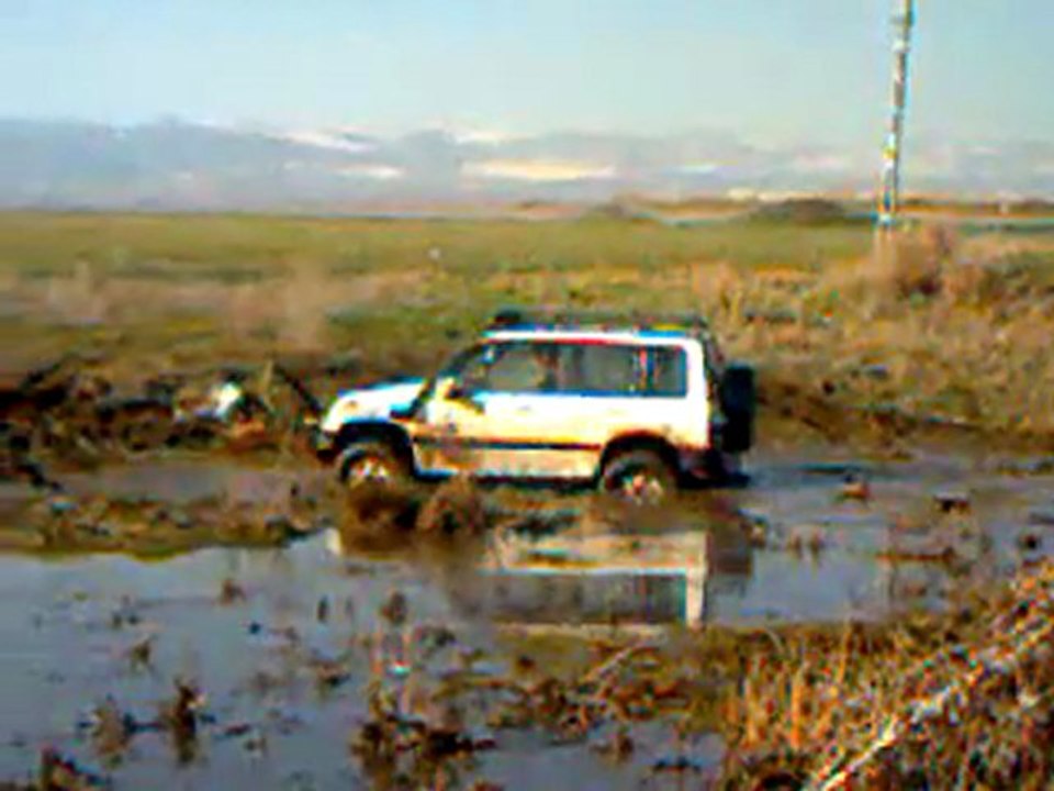 isuzu suzuki