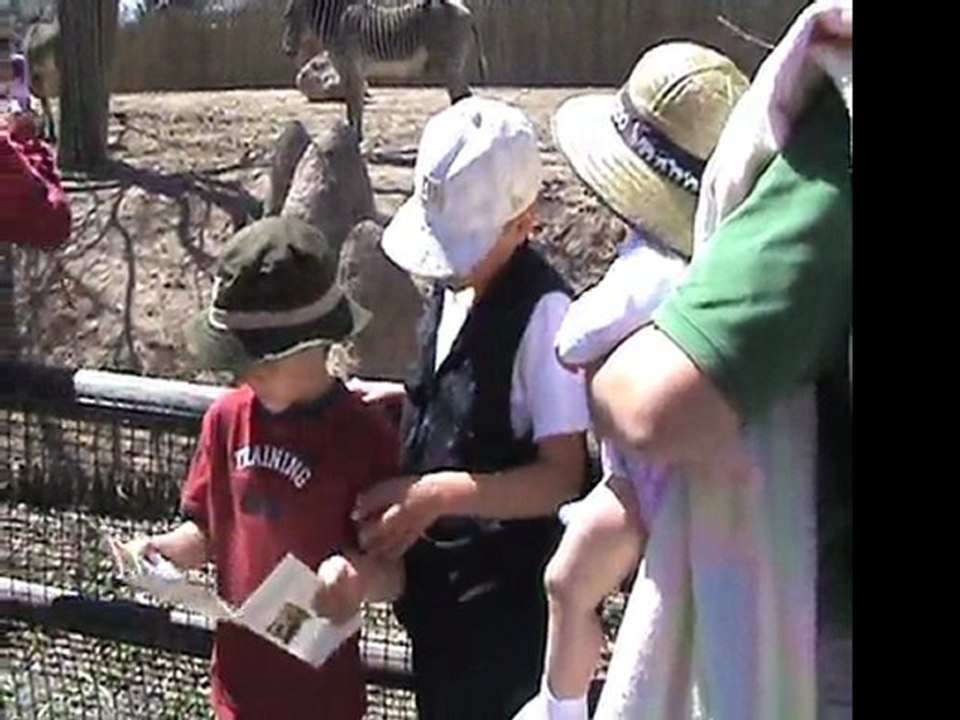 041308 Visiting Hogle Zoo