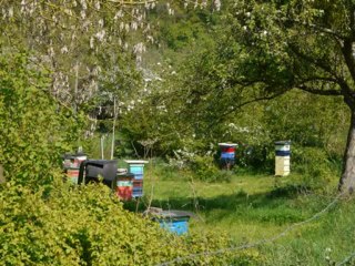 normandie fatouville