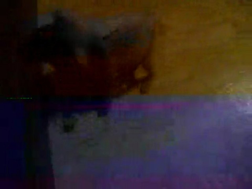 combat entre louna et ma choupette