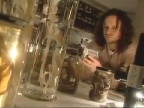 Forces obscures : Monstres des lacs et des mers 3/3