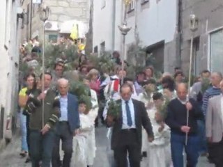 Benção e Procissão dos Ramos 2011 - Loriga