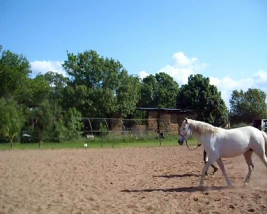 Video1