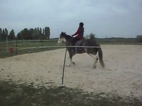 Solène et HASTA LUEGO, cheval Criollo Argentin. SDC10537
