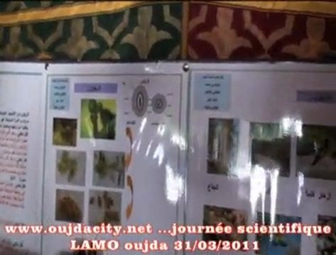 ثانوية عبد المومن الـاهيلية تنظم الايام العلمية الجهوية الاولى الخاصة بالتلاميذ