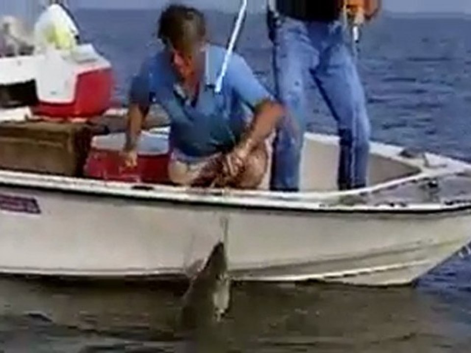 Meet The Ancient Alligator Gar Fish