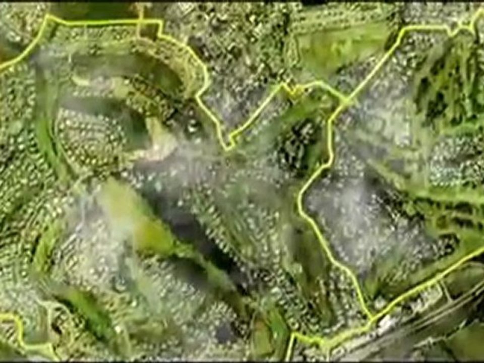 Monkeys infiltrate gated community