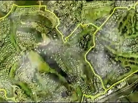 Monkeys infiltrate gated community