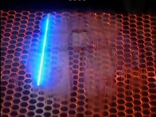 Passing on Einstein's Brain