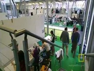 One week to build an eco-friendly house