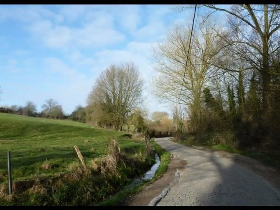 année 2011 - mois de mars - nº 13