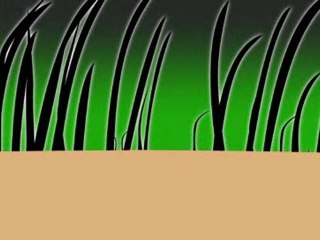 Hair Loss Treatment using Leimo