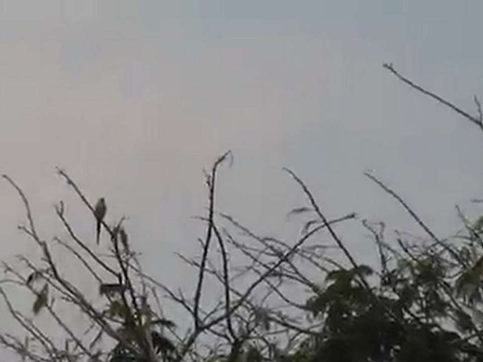 MVI_1234