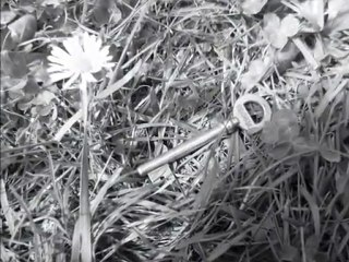 Follow the white rabbit