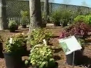 Kristi's Staycation Destination - CBN.com