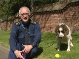 Sniffer dogs help police ahead of Royal wedding