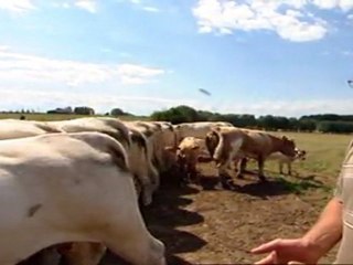 SOS Faim vidéo : l'agriculture paysanne : stop ou encore? Partie 2