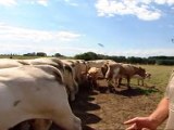 SOS Faim vidéo : l'agriculture paysanne : stop ou encore? Partie 2
