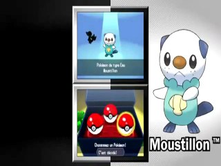 Pokemon noire blanc Ligue Pub
