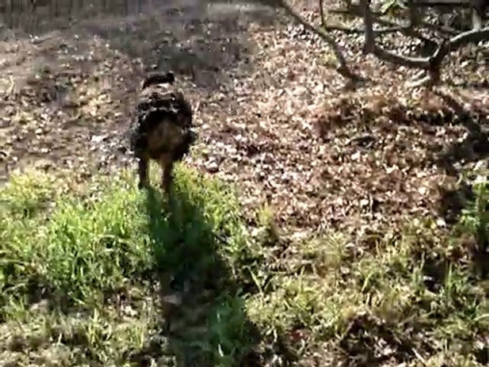 balade castille mi avril