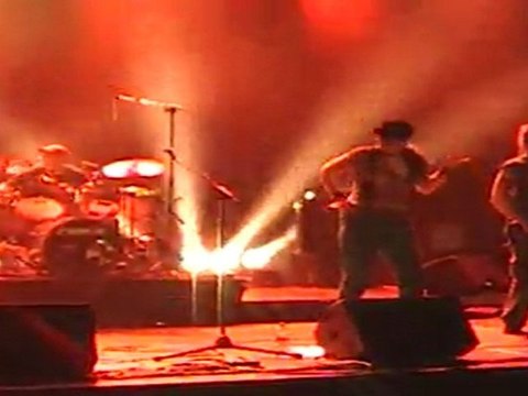 Social bastards - La biere, le punk , la oi! et l'amitié