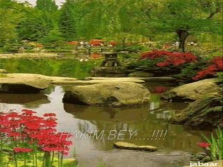 HAKİM  BEY...OĞUZSOYLUM