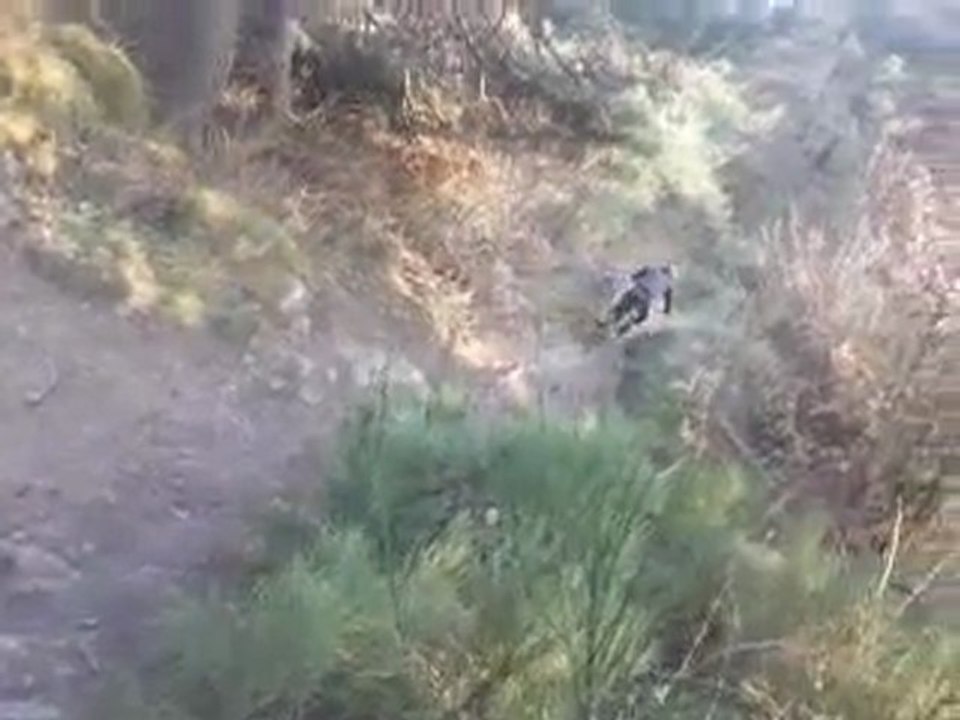 mountain biking